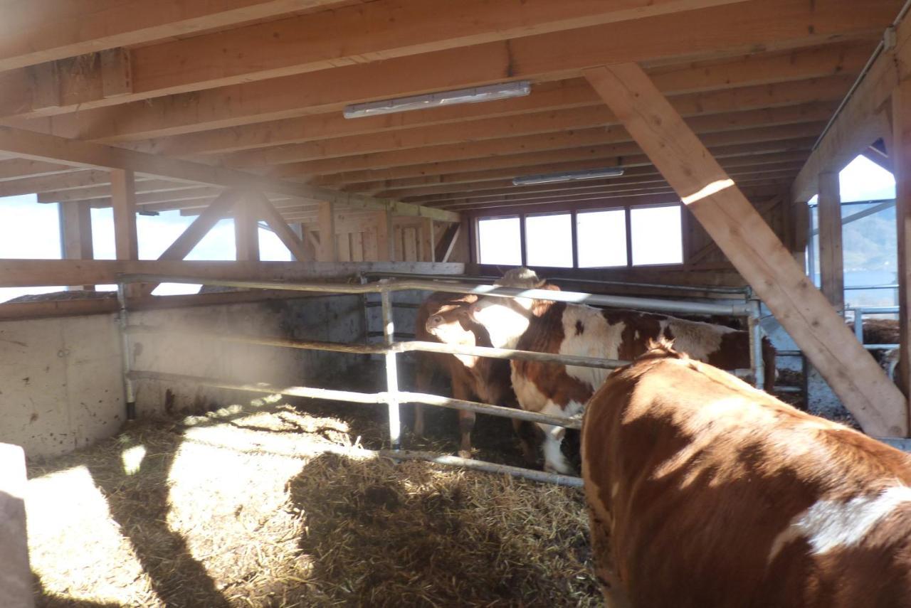Ferienwohnung Landgut Wagnerfeld Altmünster Exterior foto