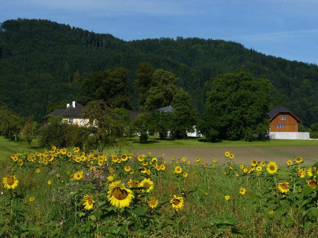 Ferienwohnung Landgut Wagnerfeld Altmünster Exterior foto