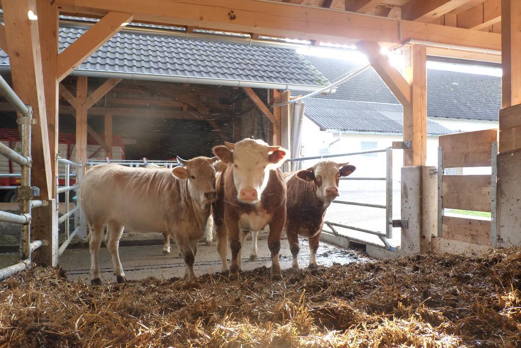 Ferienwohnung Landgut Wagnerfeld Altmünster Exterior foto